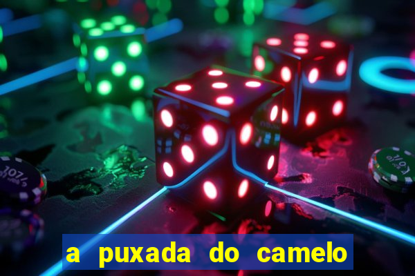 a puxada do camelo no jogo do bicho